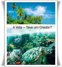 A VIDA - TEVE UM CRIADOR Brochura