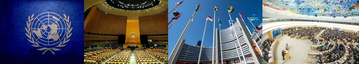 ONU e as Testemunhas de Jeova
